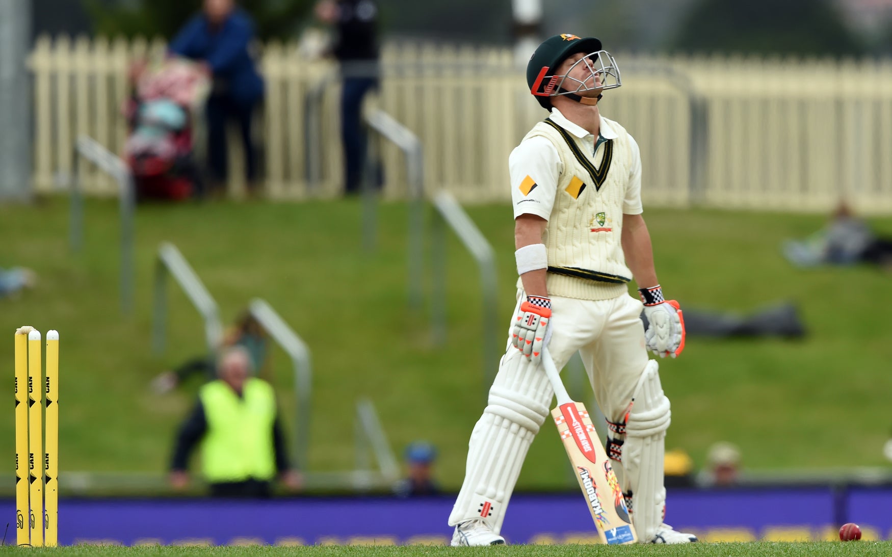 cricket_storytelling_background_3.jpg
